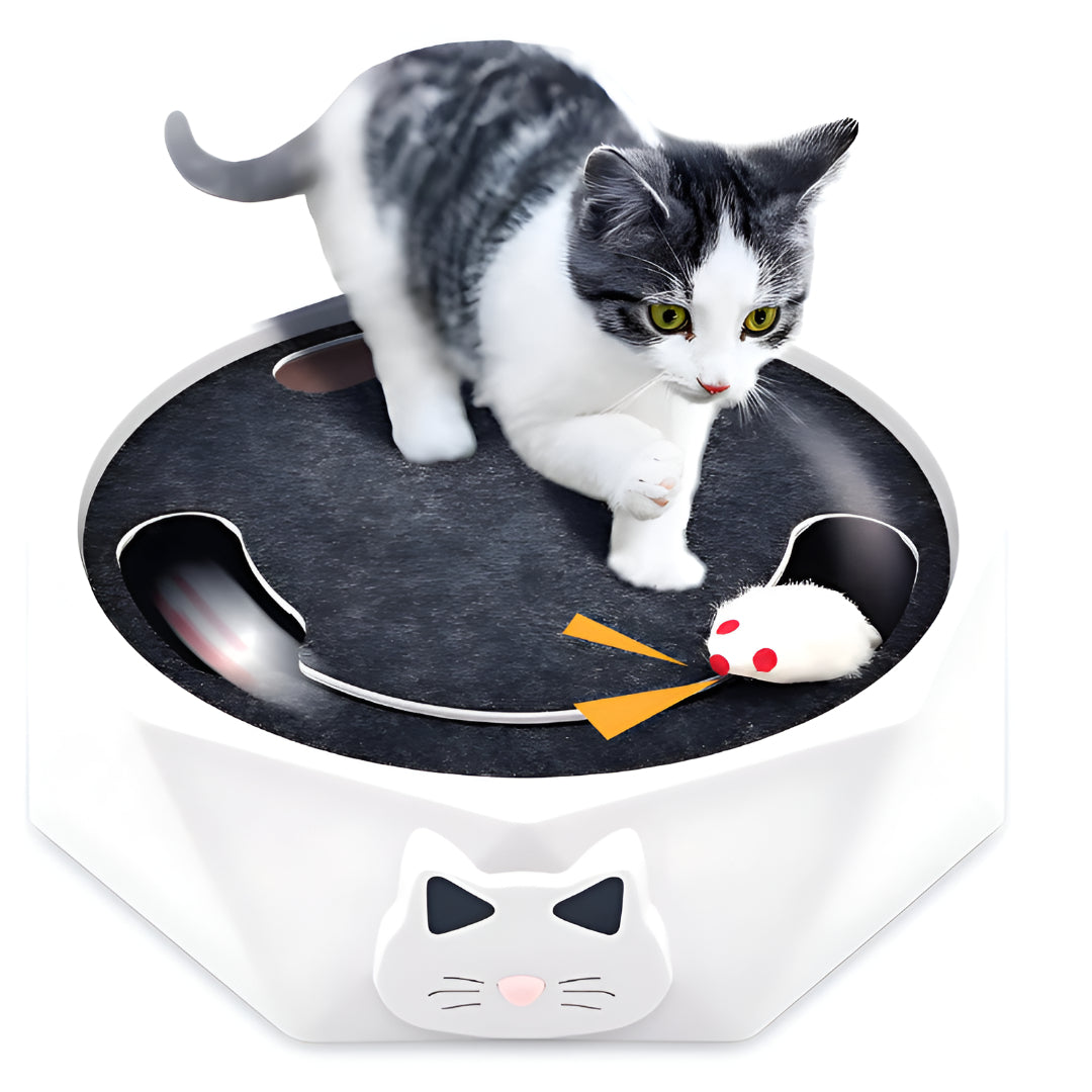 Cat Scratch Pad with Moving Mouse | Interactive Toy, 11 in Round