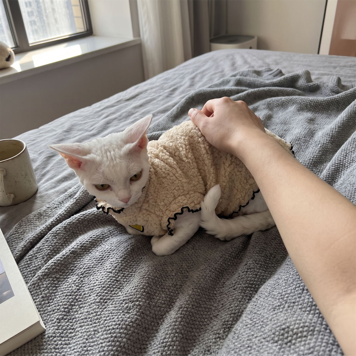 Fleece Cat Sweater for Hairless Cats | Ruffle Trim | XS to 2XL