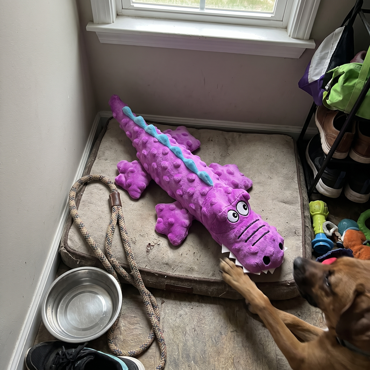 Squeaky Crocodile Dog Toy | Plush with Crinkle Paper | 14.6 in