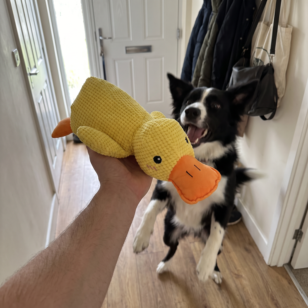 Squeaky Duck Dog Toy | Durable Plush for Heavy Chewers