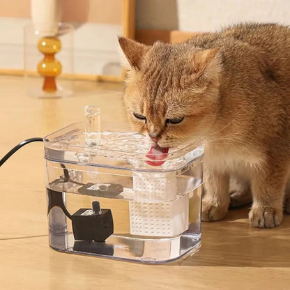 Cat Water Fountain, Clear Cube Design | Arched Spout, 6 Colors