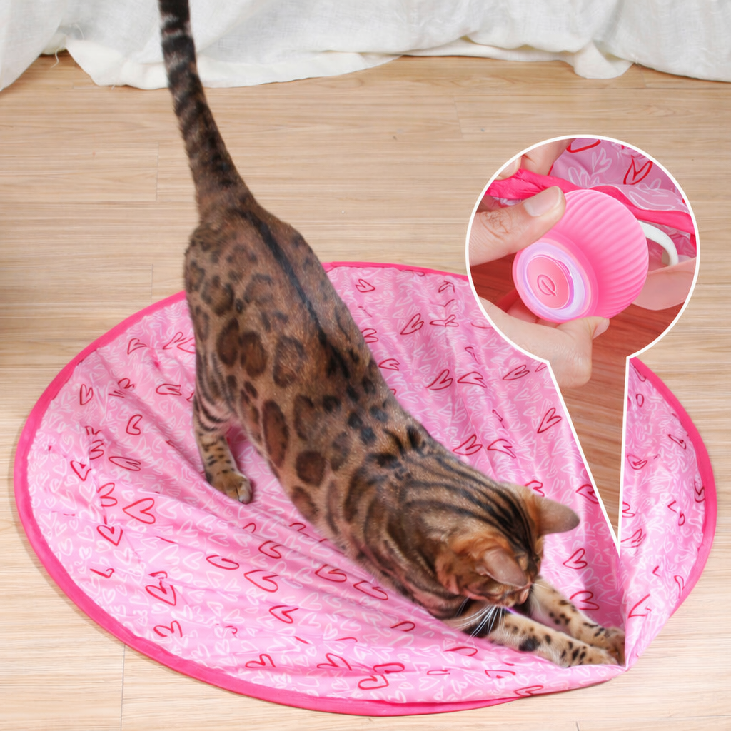 Self-Rolling Cat Ball Toy | Hide-and-Seek Mat Option, USB Rechargeable