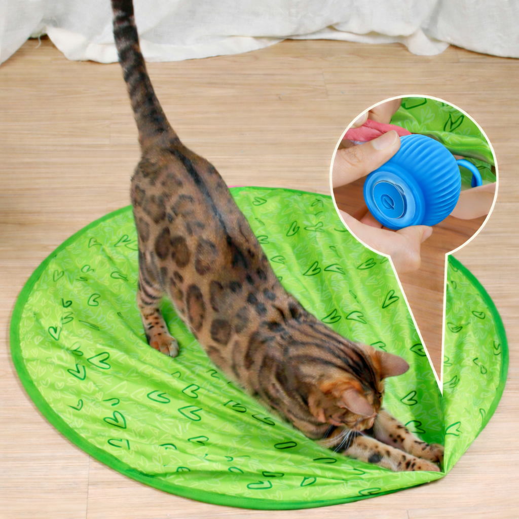 Self-Rolling Cat Ball Toy | Hide-and-Seek Mat Option, USB Rechargeable