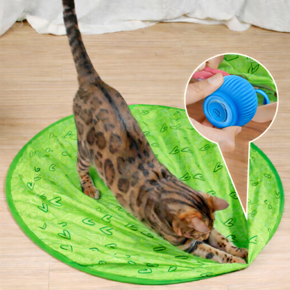 Self-Rolling Cat Ball Toy | Hide-and-Seek Mat Option, USB Rechargeable