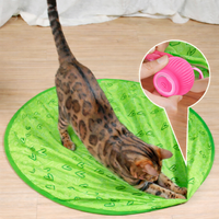 Pink Ball + Green Mat