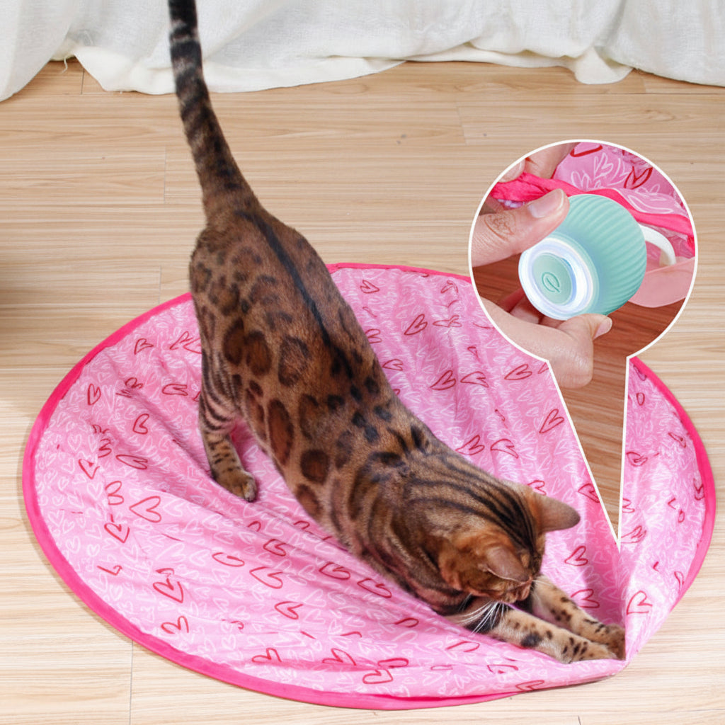 Self-Rolling Cat Ball Toy | Hide-and-Seek Mat Option, USB Rechargeable