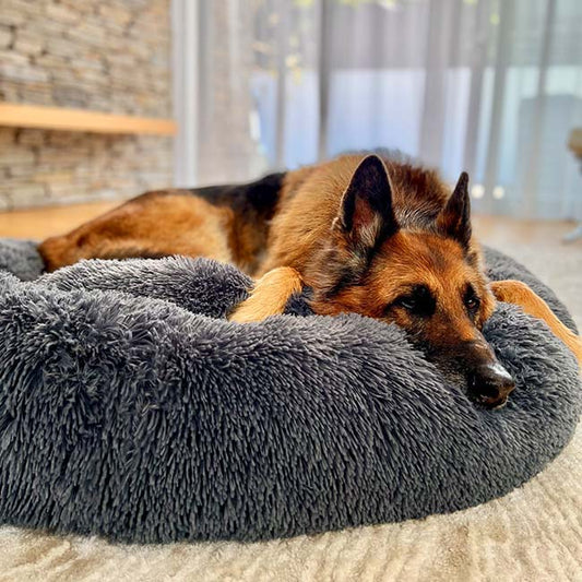 Calming Dog Bed | Anxiety & Stress Relief | Orthopedic Joint Support | Ultra-Soft Plush | All Breeds & Sizes