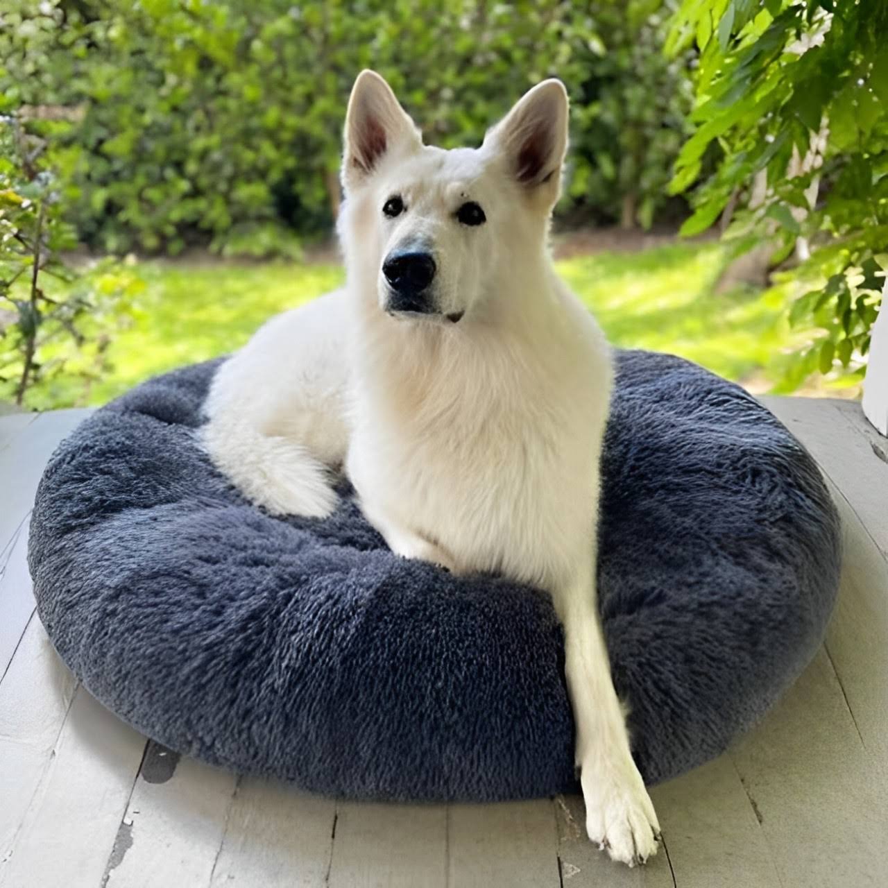 Calming Dog Bed | Anxiety & Stress Relief | Orthopedic Joint Support | Ultra-Soft Plush | All Breeds & Sizes