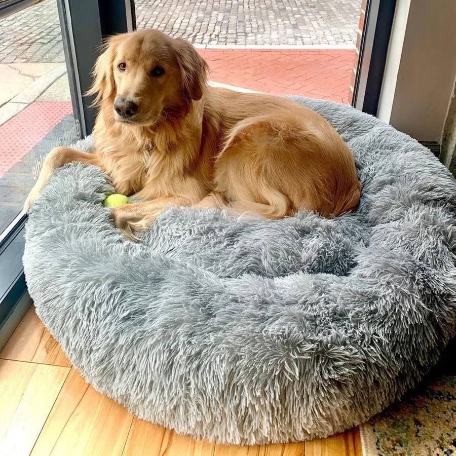 Calming Dog Bed | Anxiety & Stress Relief | Orthopedic Joint Support | Ultra-Soft Plush | All Breeds & Sizes