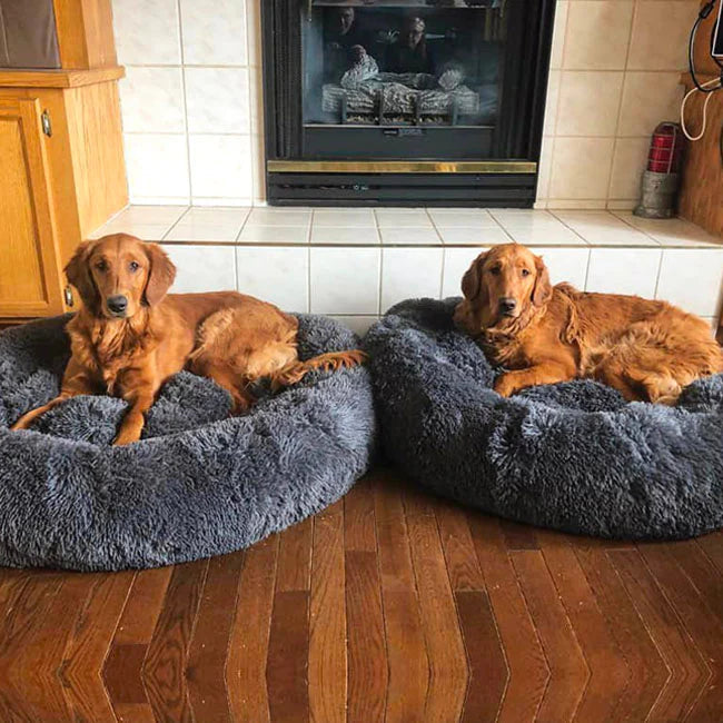 Calming Dog Bed | Anxiety & Stress Relief | Orthopedic Joint Support | Ultra-Soft Plush | All Breeds & Sizes