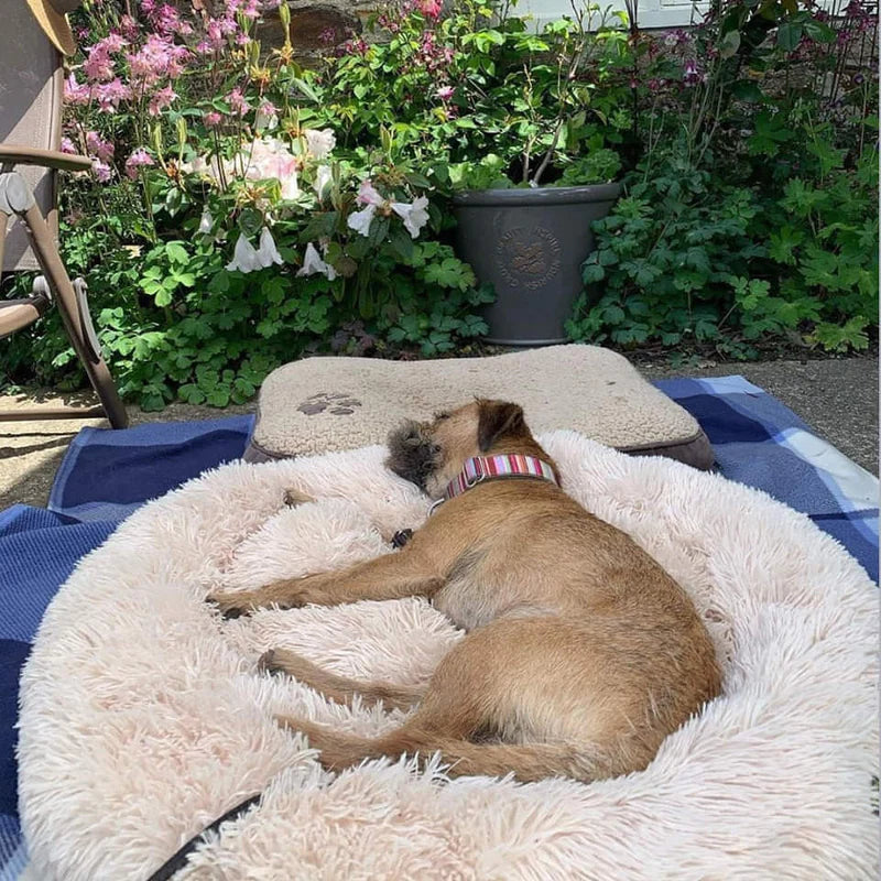 Calming Dog Bed | Anxiety & Stress Relief | Orthopedic Joint Support | Ultra-Soft Plush | All Breeds & Sizes