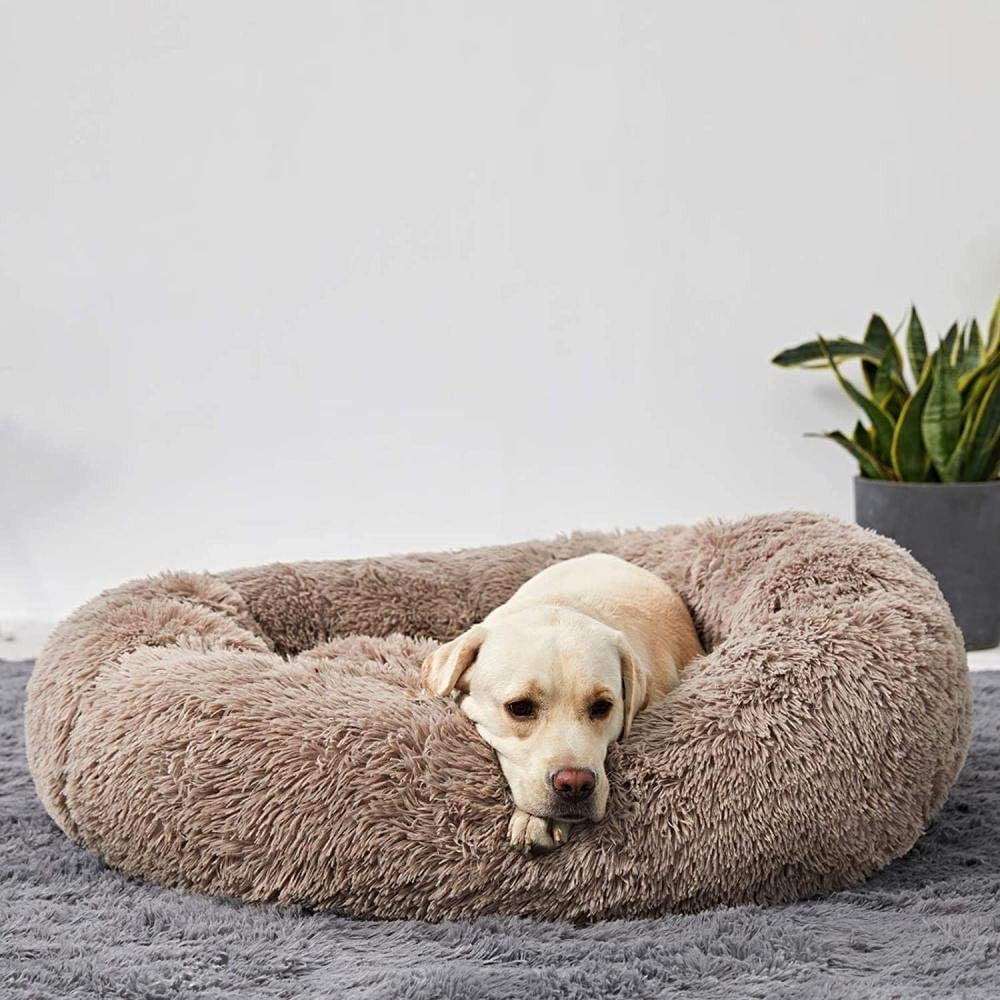 Calming Dog Bed | Anxiety & Stress Relief | Orthopedic Joint Support | Ultra-Soft Plush | All Breeds & Sizes