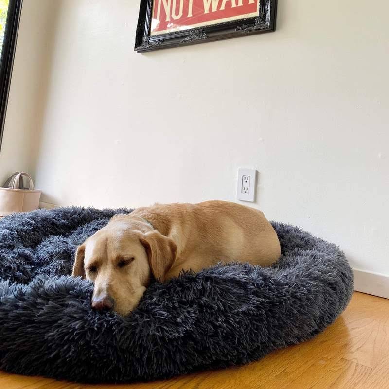 Calming Dog Bed | Anxiety & Stress Relief | Orthopedic Joint Support | Ultra-Soft Plush | All Breeds & Sizes