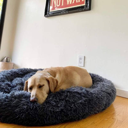 Calming Dog Bed | Anxiety & Stress Relief | Orthopedic Joint Support | Ultra-Soft Plush | All Breeds & Sizes