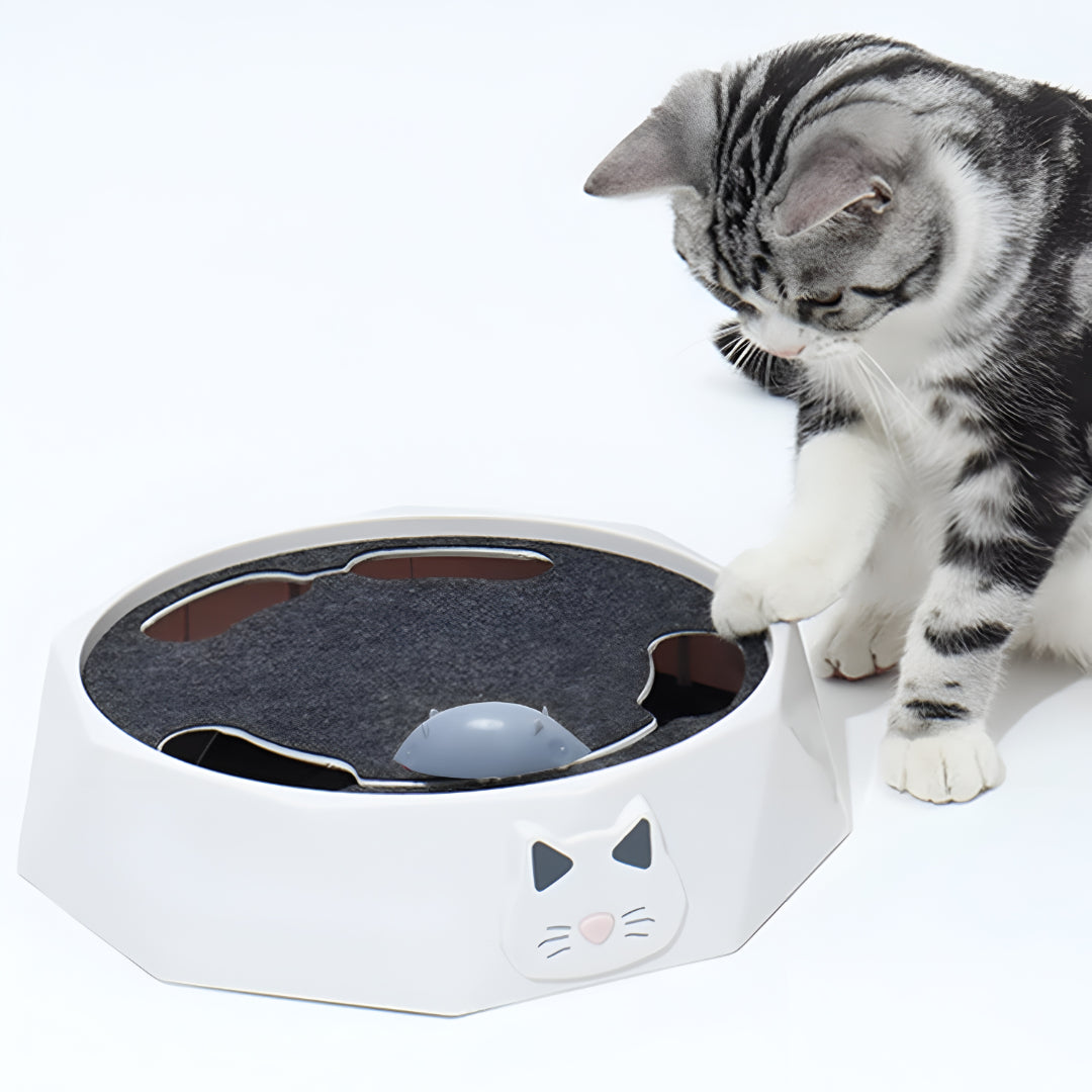 Cat Scratch Pad with Moving Mouse | Interactive Toy, 11 in Round