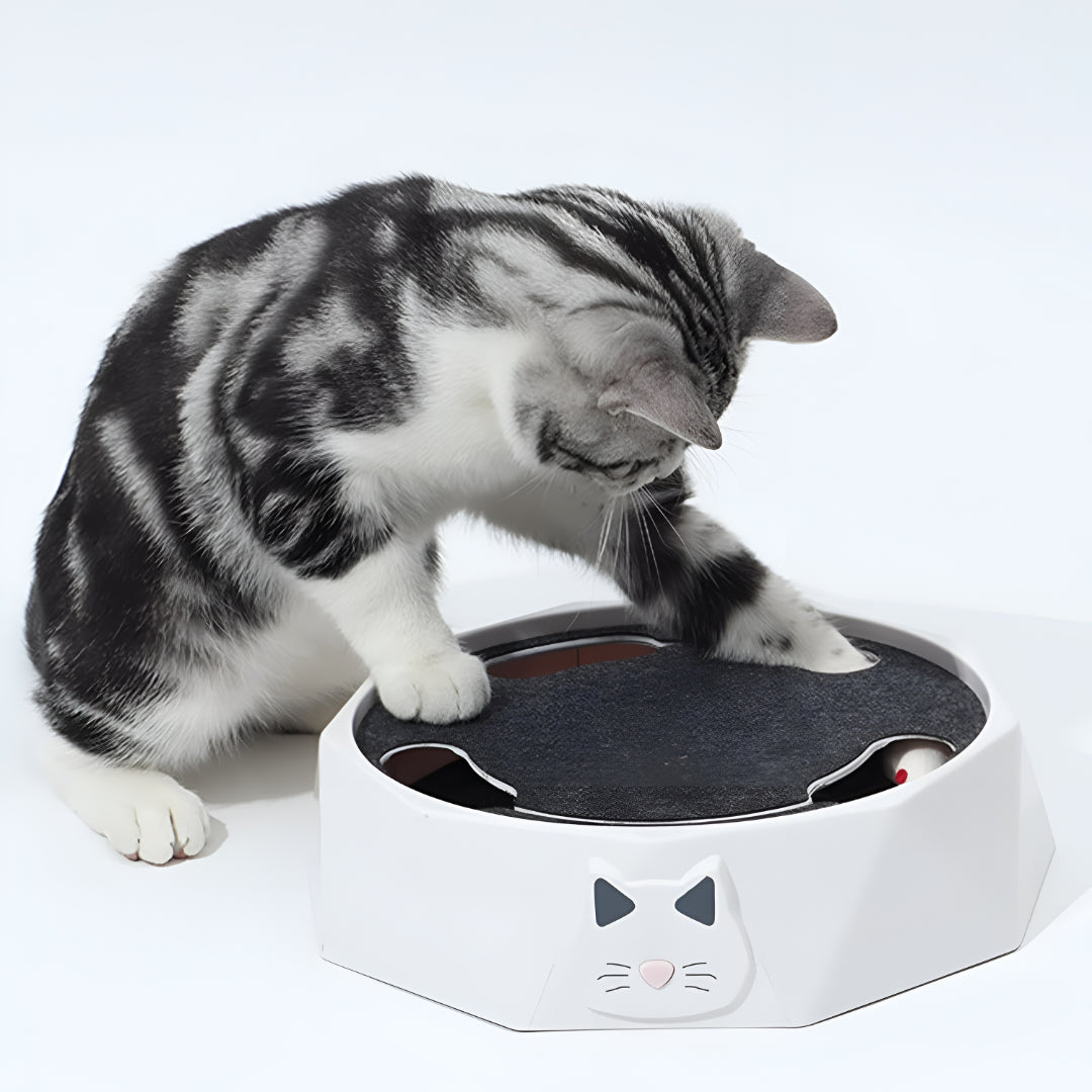 Cat Scratch Pad with Moving Mouse | Interactive Toy, 11 in Round
