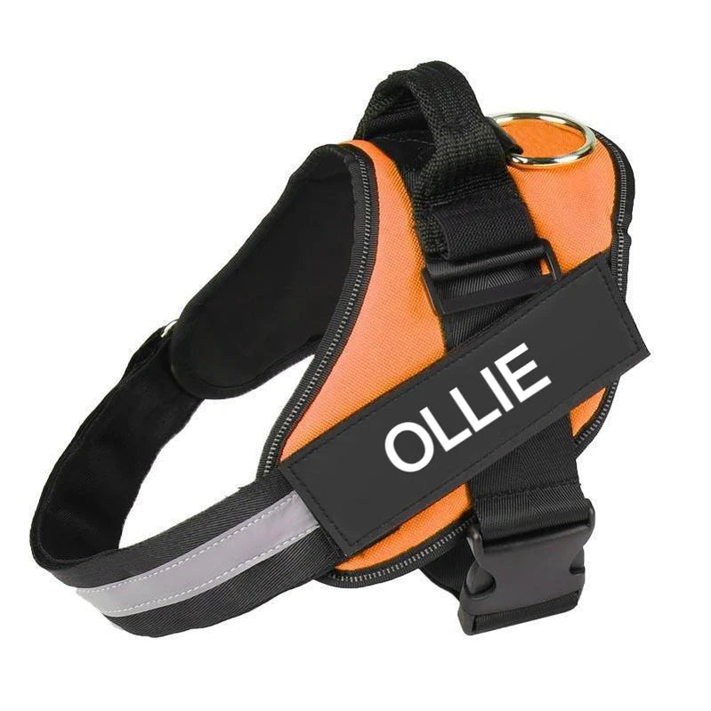Custom No Pull Dog Harness | Personalised with Name & Number | Better Control | Prevents Throat Damage | XS to XXL