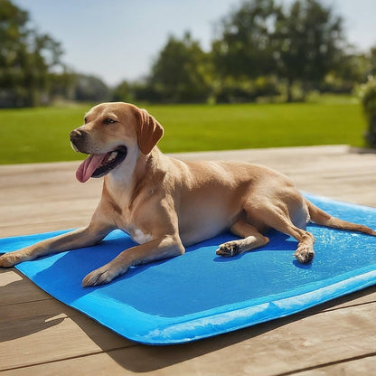Pet Cooling Mat | Instant Cooling Technology | Prevents Heat Stress | No Water or Electricity Needed | Dogs & Cats