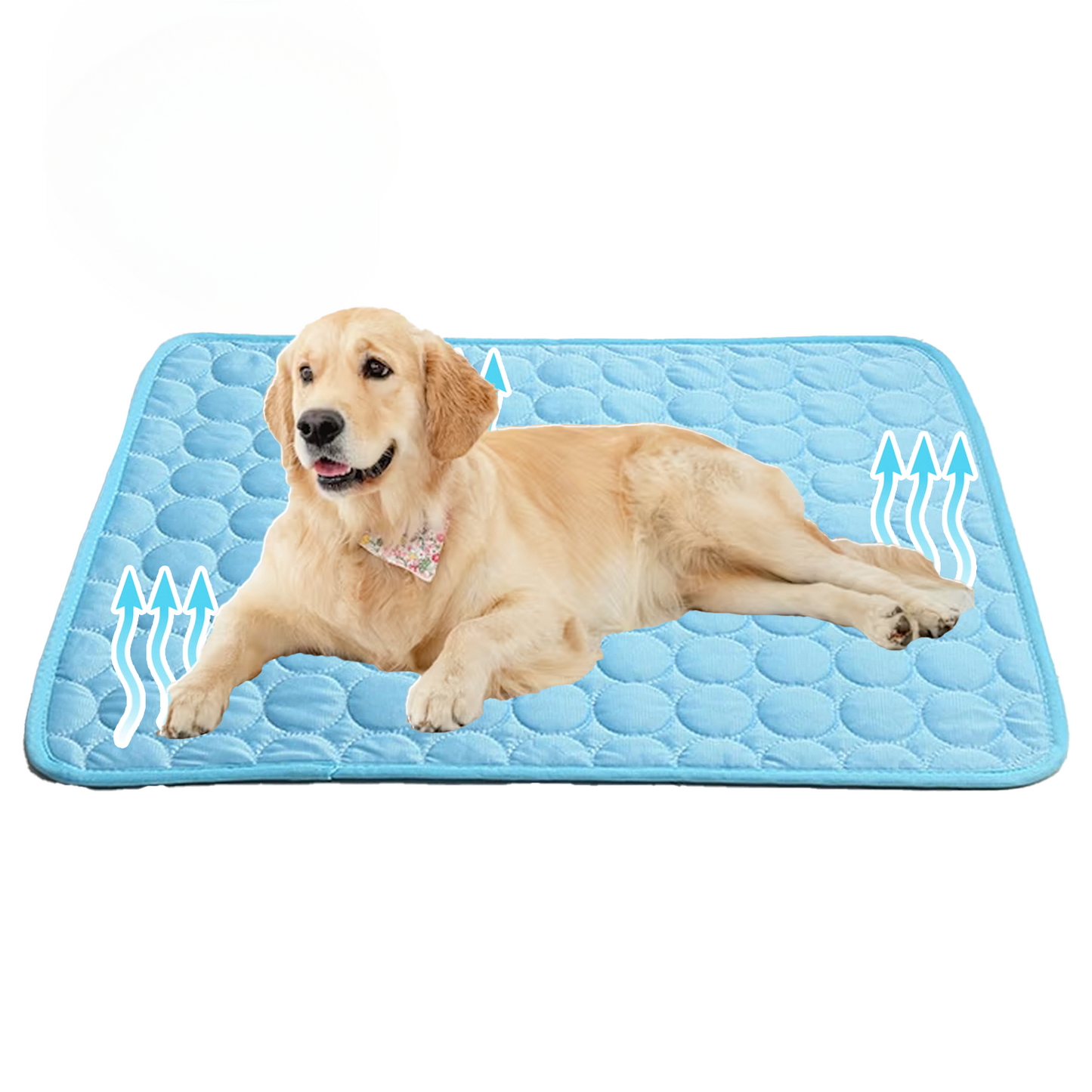 Pet Cooling Mat | Instant Cooling Technology | Prevents Heat Stress | No Water or Electricity Needed | Dogs & Cats
