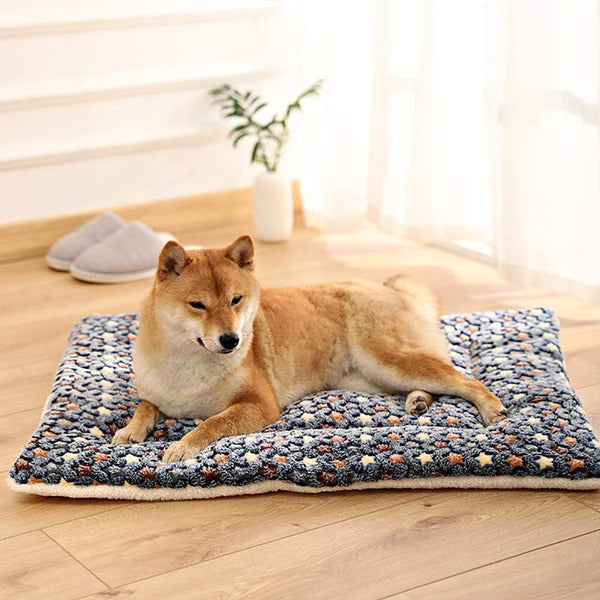 Calming Warm Dog & Cat Blanket | Ultra-Soft Coral Fleece | Anxiety Relief | Machine Washable | 3 Sizes
