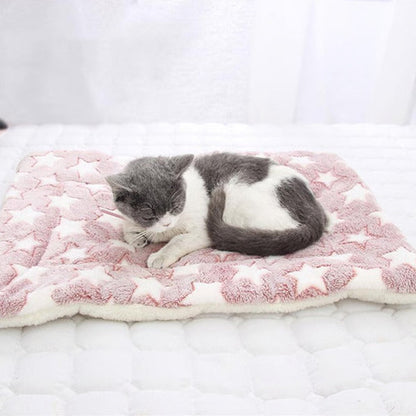 Calming Warm Dog & Cat Blanket | Ultra-Soft Coral Fleece | Anxiety Relief | Machine Washable | 3 Sizes