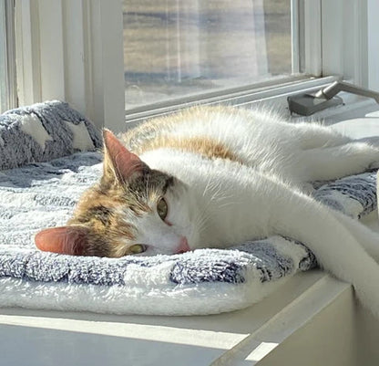 Calming Warm Dog & Cat Blanket | Ultra-Soft Coral Fleece | Anxiety Relief | Machine Washable | 3 Sizes