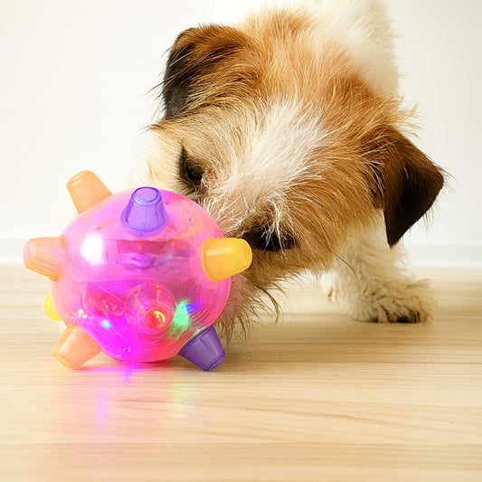 Light-Up Jumping Ball for Dogs | Music and LED, 5.1 in, 3 Colors
