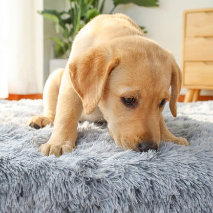 Faux Fur Dog Mat with Foam Filling | Removable Washable Cover | M / L / XL / XXL