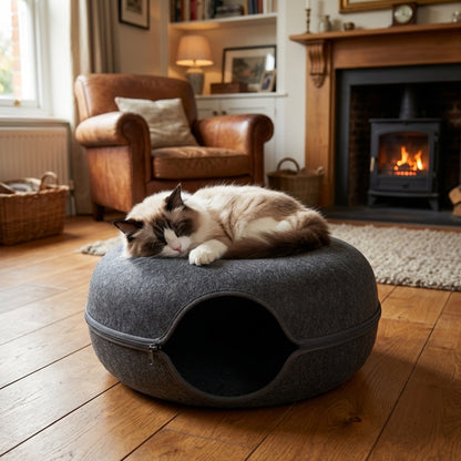 Felt Donut Cat Bed & Tunnel | 2-in-1 | Collapsible with Zipper