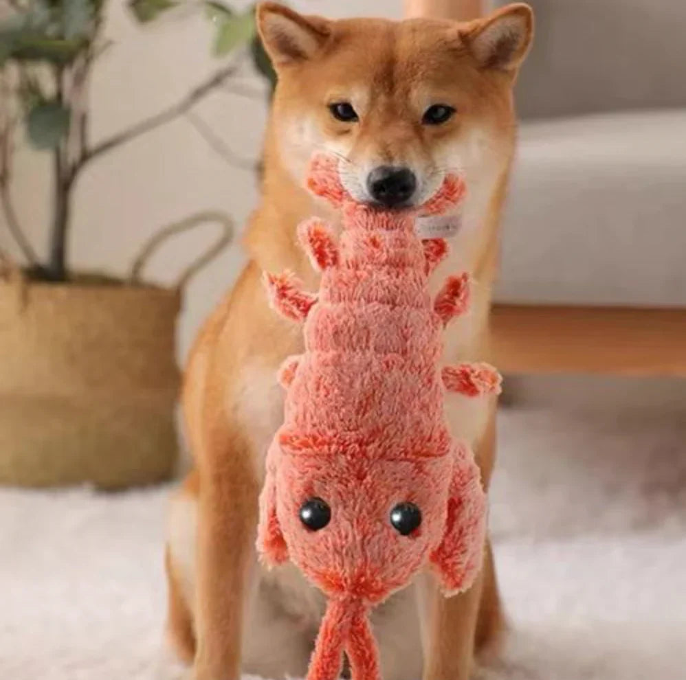Floppy Lobster Interactive Dog Toy | Motion-Activated | USB Rechargeable | Reduces Loneliness & Anxiety