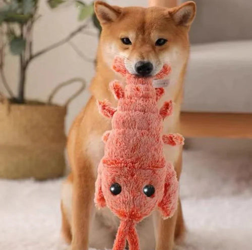 Floppy Lobster Interactive Dog Toy | Motion-Activated | USB Rechargeable | Reduces Loneliness & Anxiety