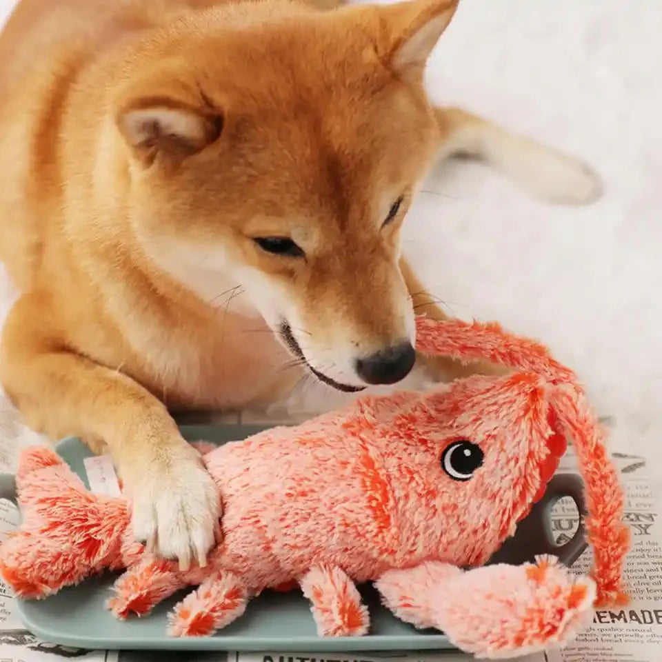 Floppy Lobster Interactive Dog Toy | Motion-Activated | USB Rechargeable | Reduces Loneliness & Anxiety