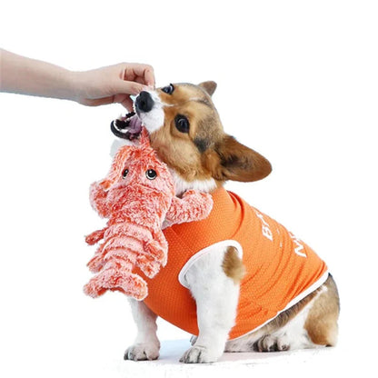 Floppy Lobster Interactive Dog Toy | Motion-Activated | USB Rechargeable | Reduces Loneliness & Anxiety