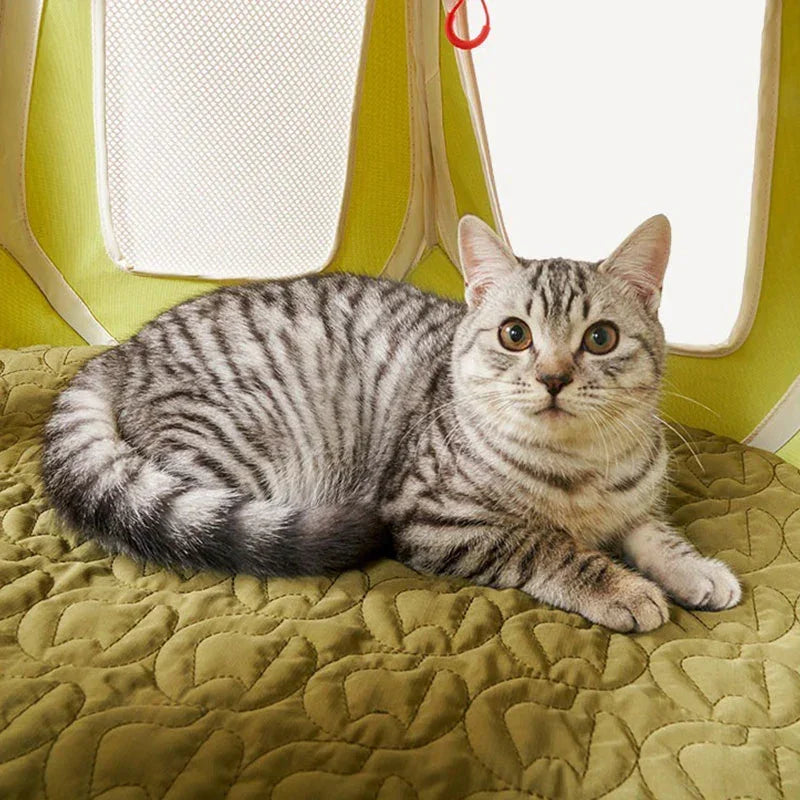 Foldable Cat Tent Bed | Mesh Windows, Padded Floor, Pets up to 30 lb