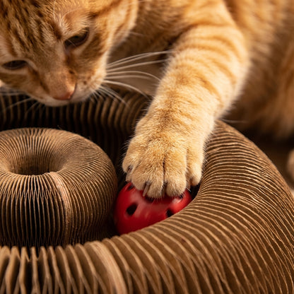 Foldable Corrugated Cardboard Cat Scratcher with Ball Track | 4-in-1