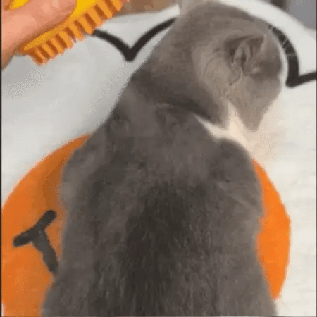 Steamy Cat Grooming Brush | Tangle-Free & Shedding Reduction | Steam-Enhanced | Gentle Massage Effect