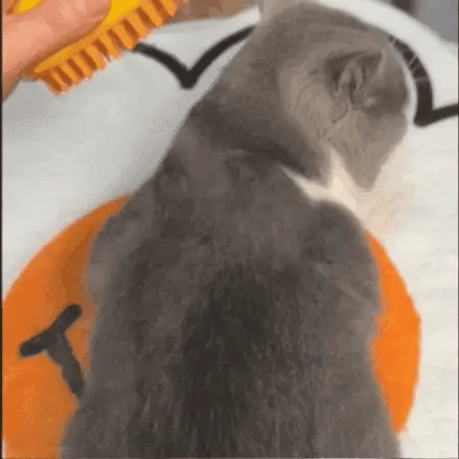 Steamy Cat Grooming Brush | Tangle-Free & Shedding Reduction | Steam-Enhanced | Gentle Massage Effect