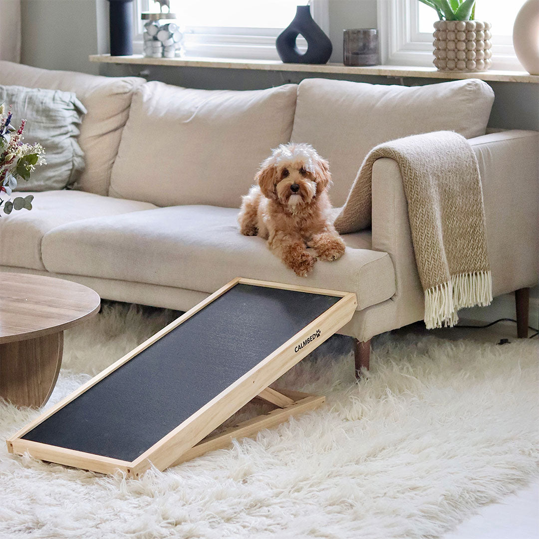 Adjustable Dog Ramp for Couch and Bed | 4 Heights, Non-Slip Rubber Surface