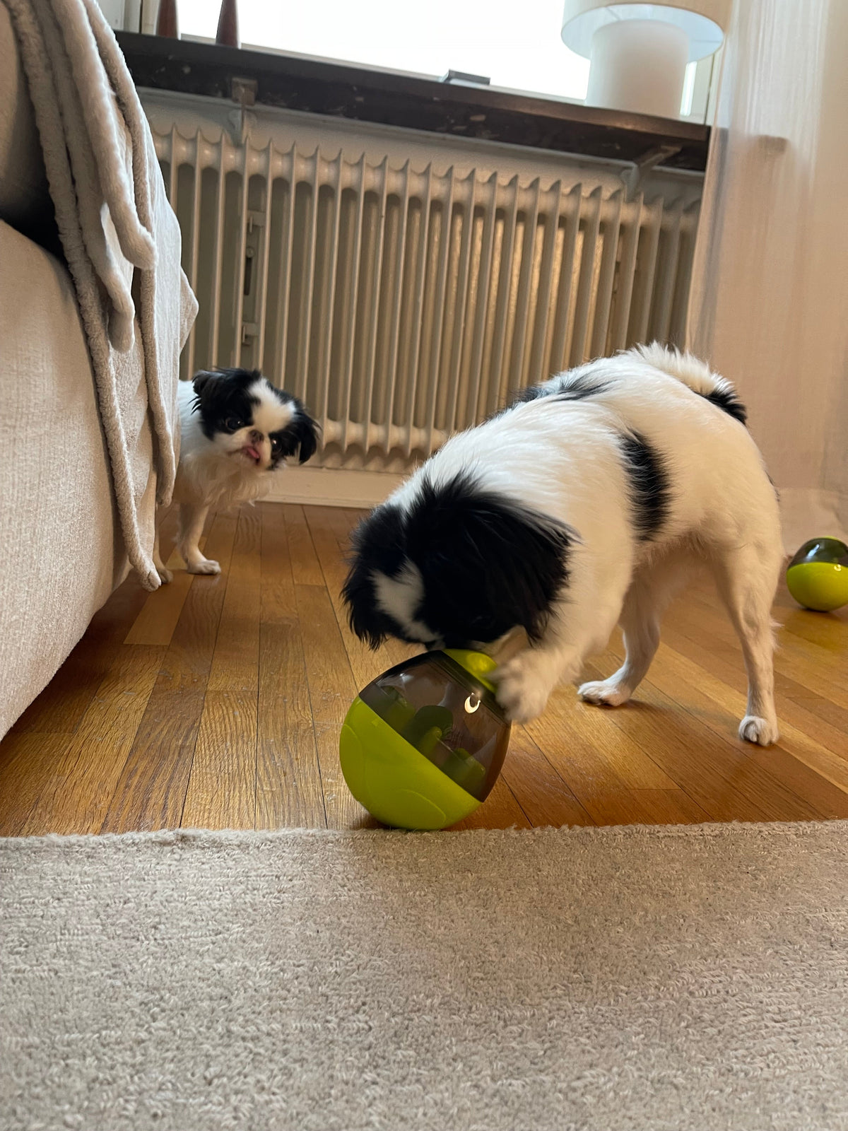 Dog Treat Dispenser Ball | Tumbler Puzzle Feeder, Adjustable Opening