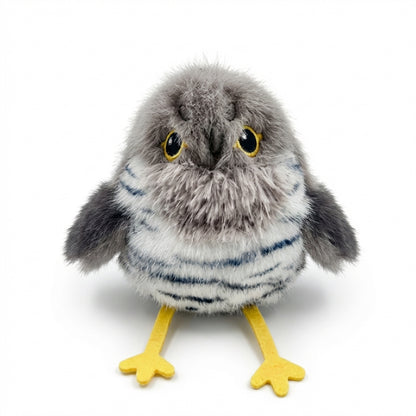 Interactive Bird Cat Toy with Flapping Wings | USB-C Rechargeable