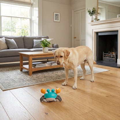 Interactive Crawling Crab Dog Toy | Motion Sensor | USB Rechargeable