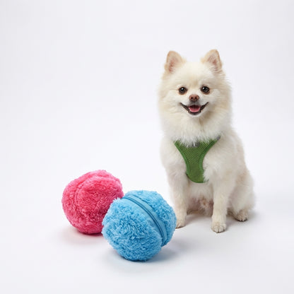 Interactive Motion-Sensor Ball Toy for Dogs | Plush TPR | 8 cm