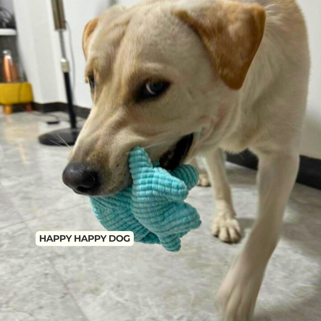 Calming Elephant Dog Toy | Chew-Resistant Plush | Colours Dogs Can See | Reduces Boredom & Anxiety