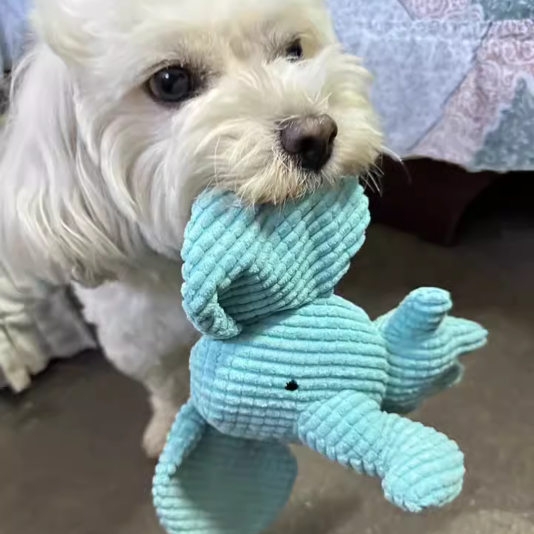 Calming Elephant Dog Toy | Chew-Resistant Plush | Colours Dogs Can See | Reduces Boredom & Anxiety