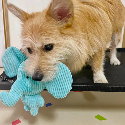 Calming Elephant Dog Toy | Chew-Resistant Plush | Colours Dogs Can See | Reduces Boredom & Anxiety
