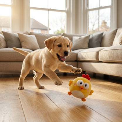 Motion-Activated Bouncing Chicken Toy for Dogs | USB Rechargeable
