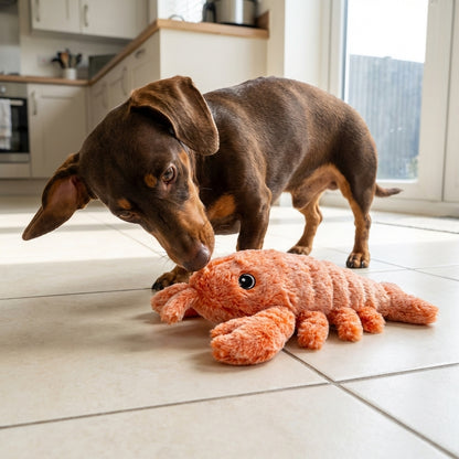 Moving Lobster Dog Toy | Motion-Activated & USB Rechargeable
