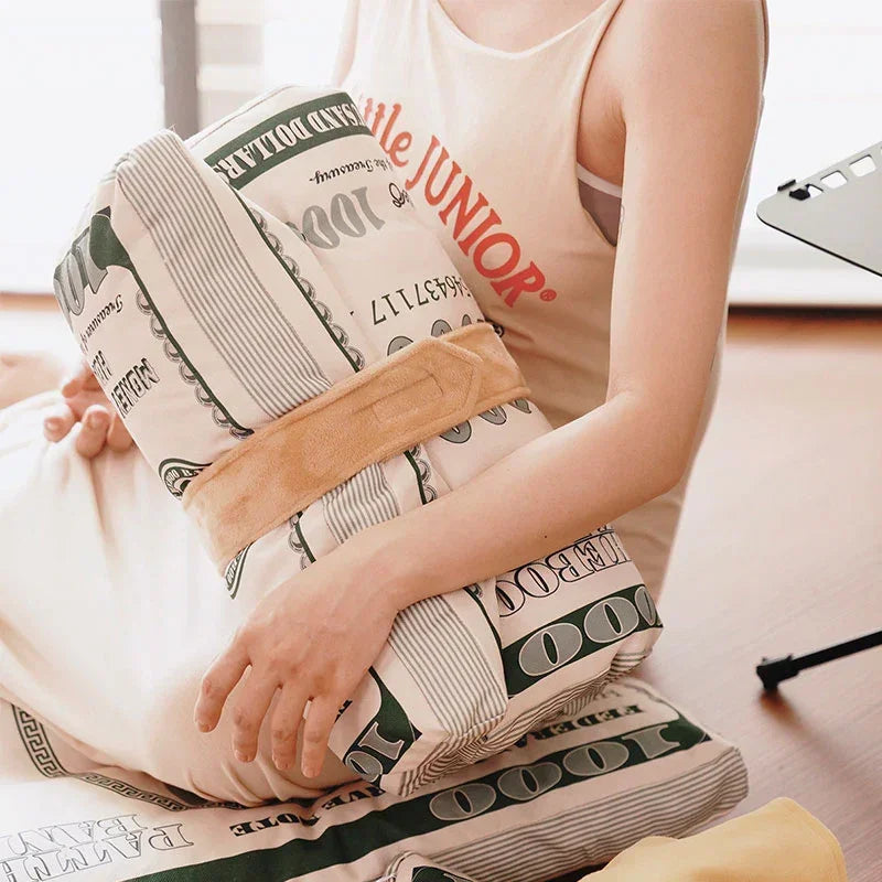 Catnip Cat Toy, Dollar Bill Pillow | Crinkle Paper | Box and Bed Options