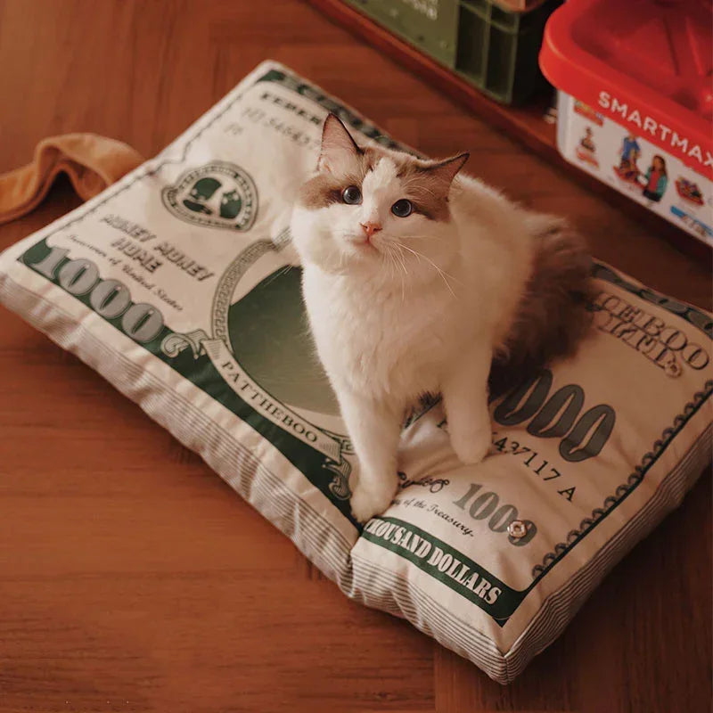 Catnip Cat Toy, Dollar Bill Pillow | Crinkle Paper | Box and Bed Options