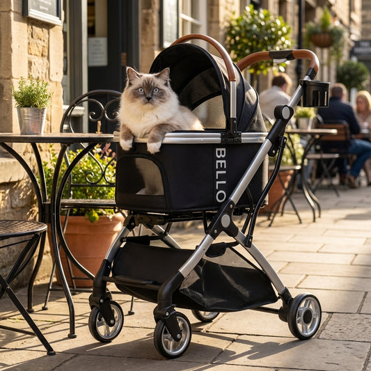 Pet Stroller with Detachable Carrier | Alloy Frame, Waterproof | Up to 15 kg